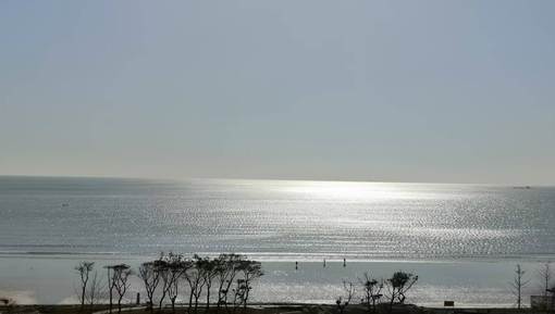 4d21849ad6dc7c06682182fb4c137510