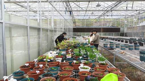 e4b9315df70c51e7b329750b40f19dcd