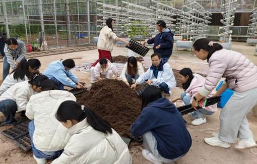 4033e9ca824f5abd851549c483e1db95